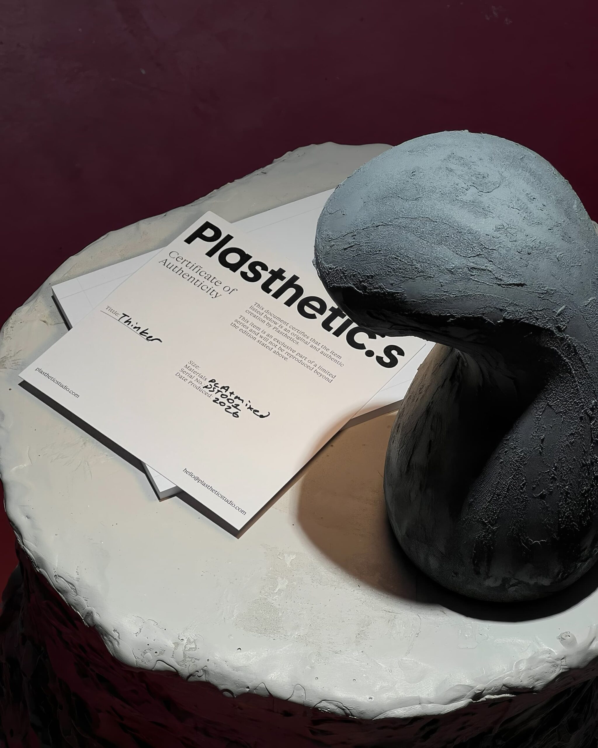 plasthetics-12